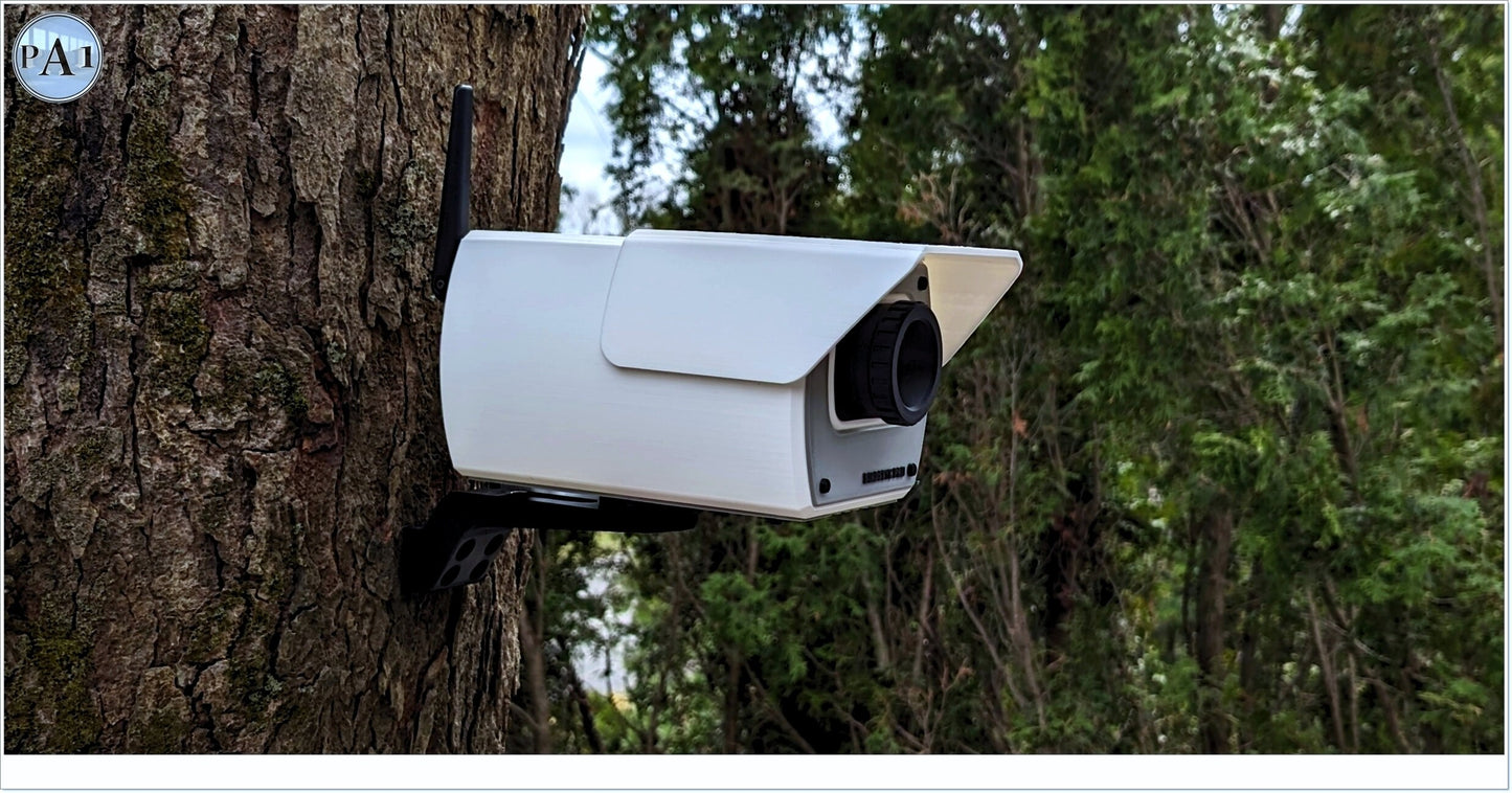Security Camera Look A Like Birdhouse