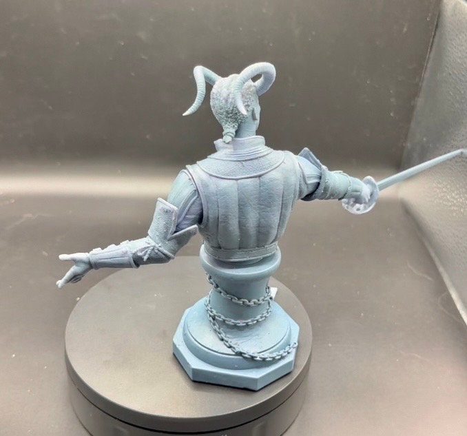 Wyll Baldur's Gate 3 Bust | SOME ASSEMBLY REQUIRED