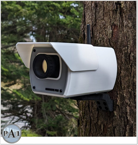Security Camera Look A Like Birdhouse