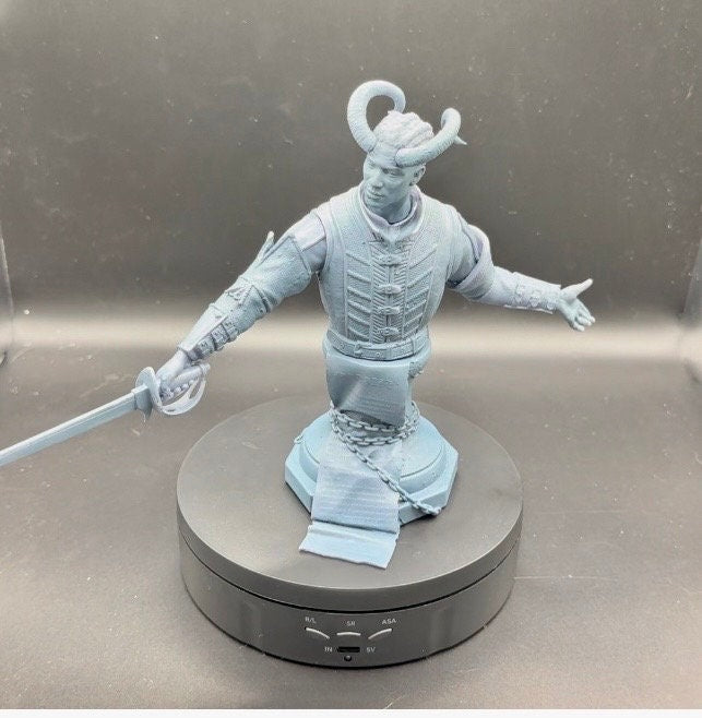 Wyll Baldur's Gate 3 Bust | SOME ASSEMBLY REQUIRED