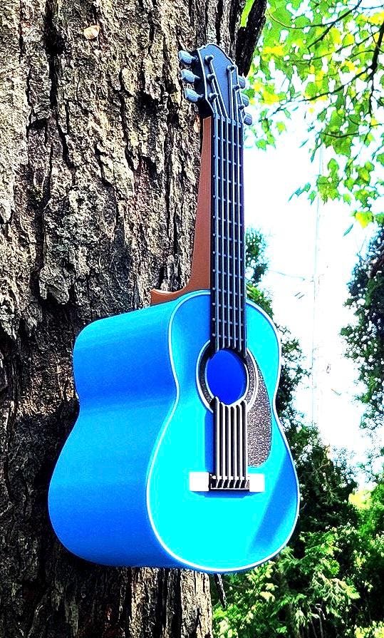 Guitar Bird House